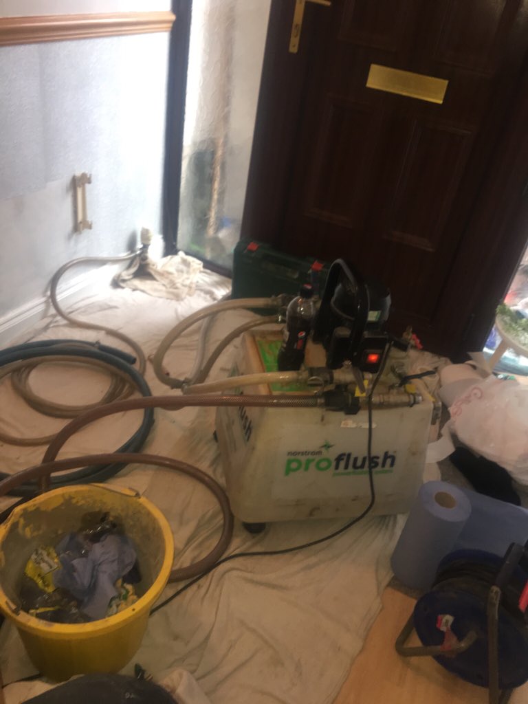 Zeal Services (Ben) tweet media