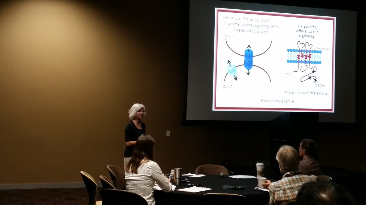 TMHalePhD's tweet photo. Congratulations to Dr. Janis Burt, as she presents the Arizona Distinguished Lecture. @azphysiology @UAmedtucson #AZPS https://t.co/7oT6TclIyF
