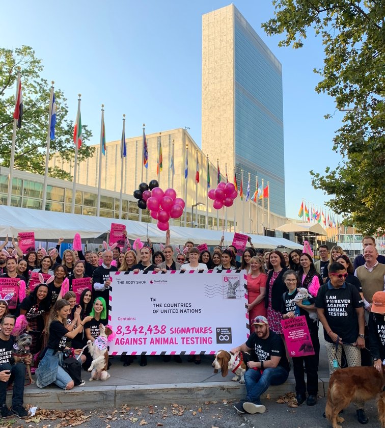 CrueltyFreeIntl's tweet photo. In case you missed it... 2 days ago we made HISTORY by delivering 8.3 MILLION signatures to end cosmetics testing on animals to the United Nations! 🌎🎉🐰
📖Read more: https://t.co/DqDbgscSR8 💬Watch our UN Roundtable discussion: https://t.co/CcPjhAWimh https://t.co/9KHXFrv7di