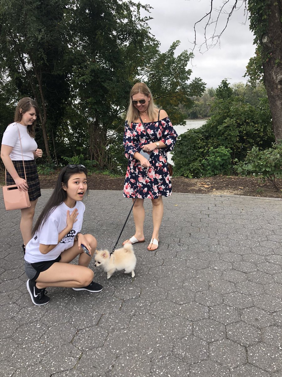 ayoh2018's tweet photo. #dawgwalk #ayoh @bighuntgu https://t.co/s4nMKollQs