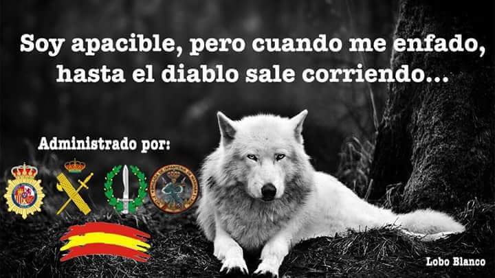 <a href="/marcosregc/">MARCOS(un do metal)</a> <a href="/irphandalucia/">Plataforma Afectad@s IRPH Andalucía</a> <a href="/kikonovoa/">Kiko Novoa</a> <a href="/RadioGalega/">Radio Galega</a> <a href="/Ana45466756/">Ana Vazquez</a> <a href="/ttmerino63/">Toñi Time</a> @veroirph <a href="/irphstop_gpzkoa/">IRPH Stop Gipuzkoa</a> <a href="/batxoki1981/">g.b.g</a> <a href="/sassenach59/">Ana</a> <a href="/pnl112_Cordoba/">Pnl112_Cordoba</a> <a href="/Patri_Hermida/">patricia hermida</a> <a href="/marcosperezpena/">Marcos Pérez Pena</a> <a href="/inmamuro2/">Inma Muro</a> <a href="/NievesSalinas/">Nieves Salinas</a> <a href="/Alberto_Gayo/">Alberto Gayo</a> <a href="/DavidArnanz/">David Arnanz</a> <a href="/interviu/">interviú</a> <a href="/Norkalopez/">Norka López Bolívar</a> <a href="/elcorreogallego/">El Correo Gallego</a> <a href="/pardodevera/">.</a> <a href="/publico_es/">Público</a> Si señores banqueros así somos los afectados #IRPHestafa