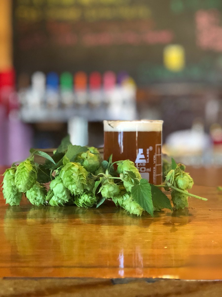 Brewability tweet media