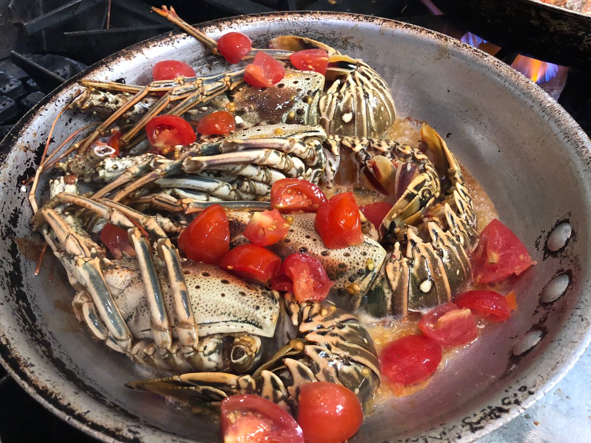 pazzodestin's tweet photo. What are you having for dinner tonight?
#lobster #fettucine #carbonara topped with whole #freshlobster
Who is hungry? https://t.co/OBHmnd3BQ7