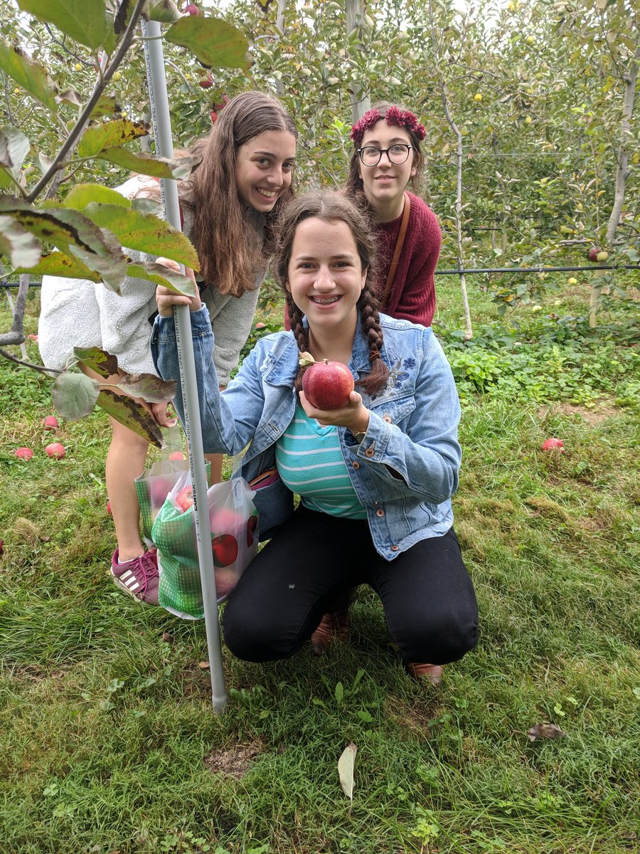 MadeiraSchool's tweet photo. Is there a better way to welcome the fall season then apple picking at Waters Orchard?! #weekendsatmadeira https://t.co/NmSZkvkiWT