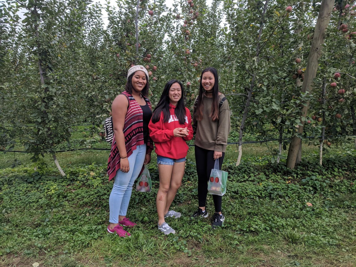 MadeiraSchool's tweet photo. Is there a better way to welcome the fall season then apple picking at Waters Orchard?! #weekendsatmadeira https://t.co/NmSZkvkiWT