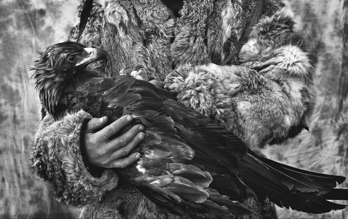 الظريف tweet media