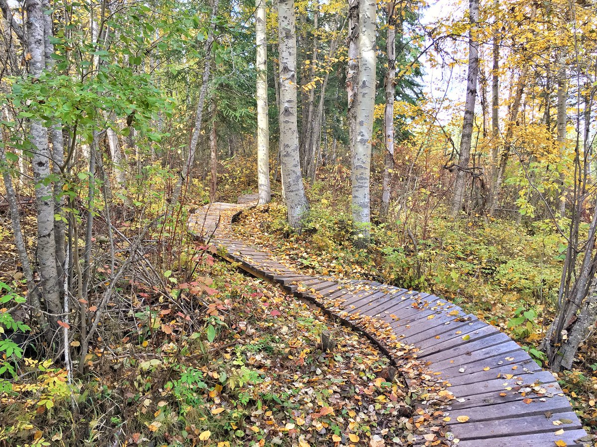 PhotoSquared's tweet image. Moonraker trails in #golden are still gorgeous! @HelloBC @TourismGolden
