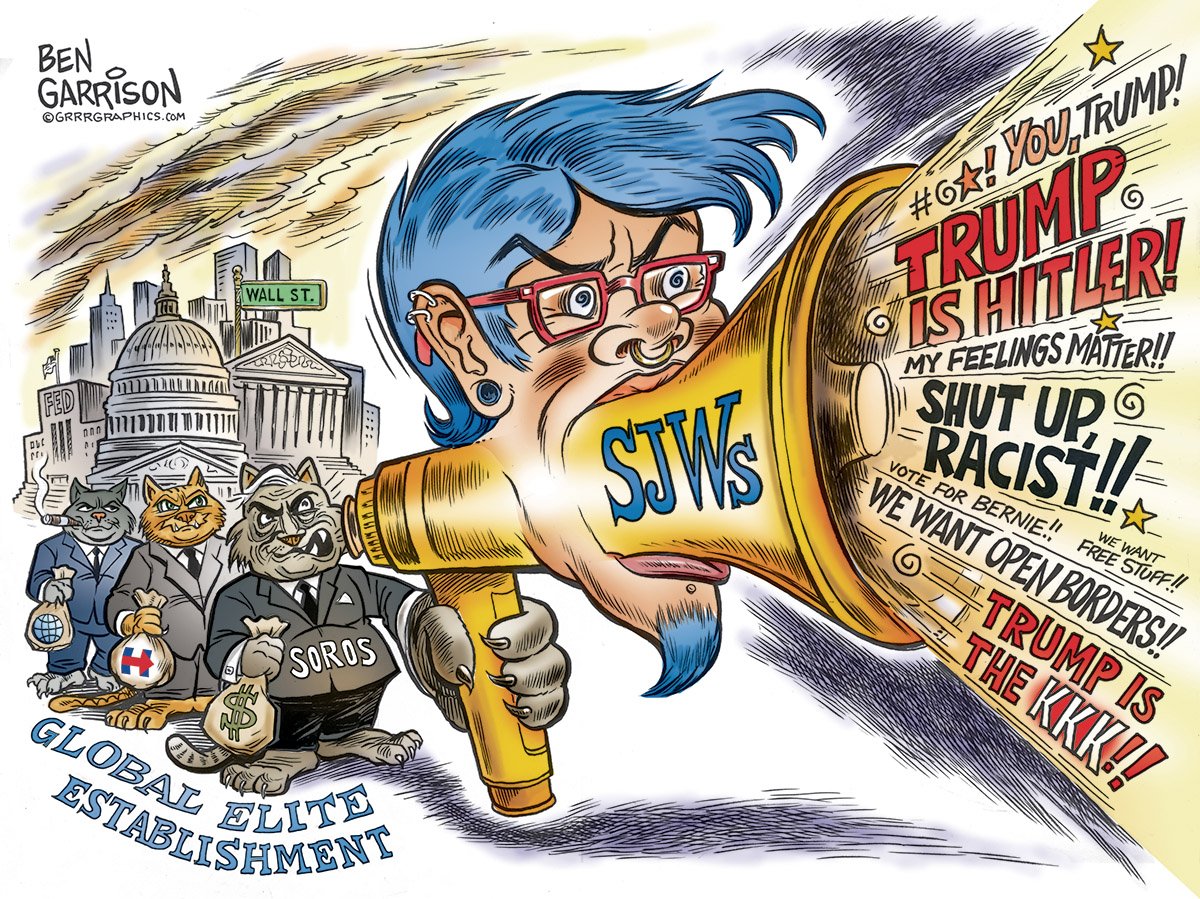Разгром SJW при Вашингтоне Разгром SJW при Вашингтоне