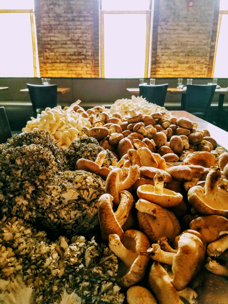 FireboxCT's tweet photo. Fruits of fall foraging soon to be 1st course on @ctrestaurantweek menu! SEACOAST MUSHROOM BISQUE. #ctrestaurantweek #fallflavors #foraging #mushrooms #fungi #eatseasonal #eatlocal #farmtotable #hartfordhasit #cteats #ctbites #ctfood #cteatsout #hartfordeats #ctfoodie #eatinct https://t.co/pXDyfvygnm