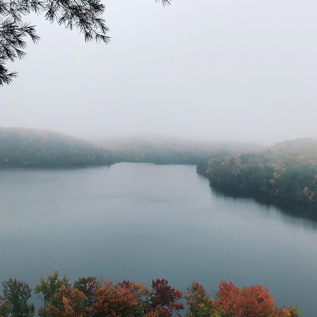 emjoylove's tweet photo. A moody afternoon in the woods enjoying this magical place we live in. Feeling grateful. #happythanksgiving https://t.co/cnjnEDgPpu https://t.co/cx0YEOTf8b