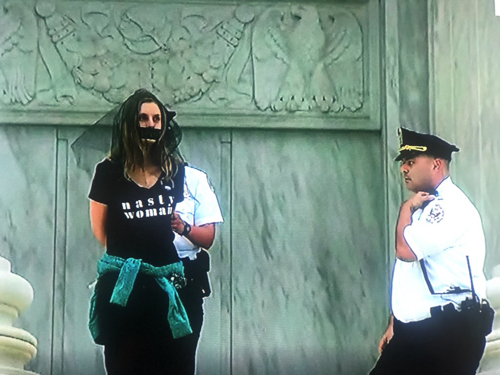 Разгром SJW при Вашингтоне Разгром SJW при Вашингтоне