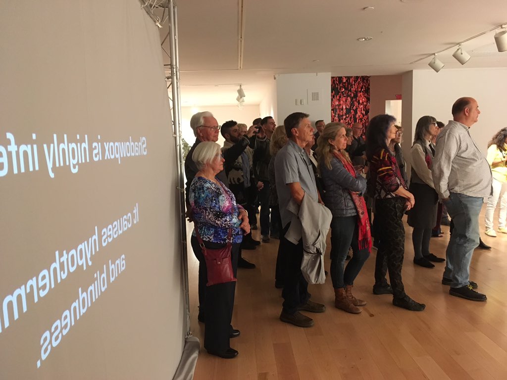 alisonhum's tweet photo. #Shadowpox TD @ludestajo and I had a blast watching players at last night’s opening of Public Notice, but now we have half a dozen tweaks to code! A #VaccinesWork is never done. Huge thanks to curator @SoJo_Art and the whole @theRMG crew. https://t.co/9Wzzz1Te63 https://t.co/U2oeMuClSI