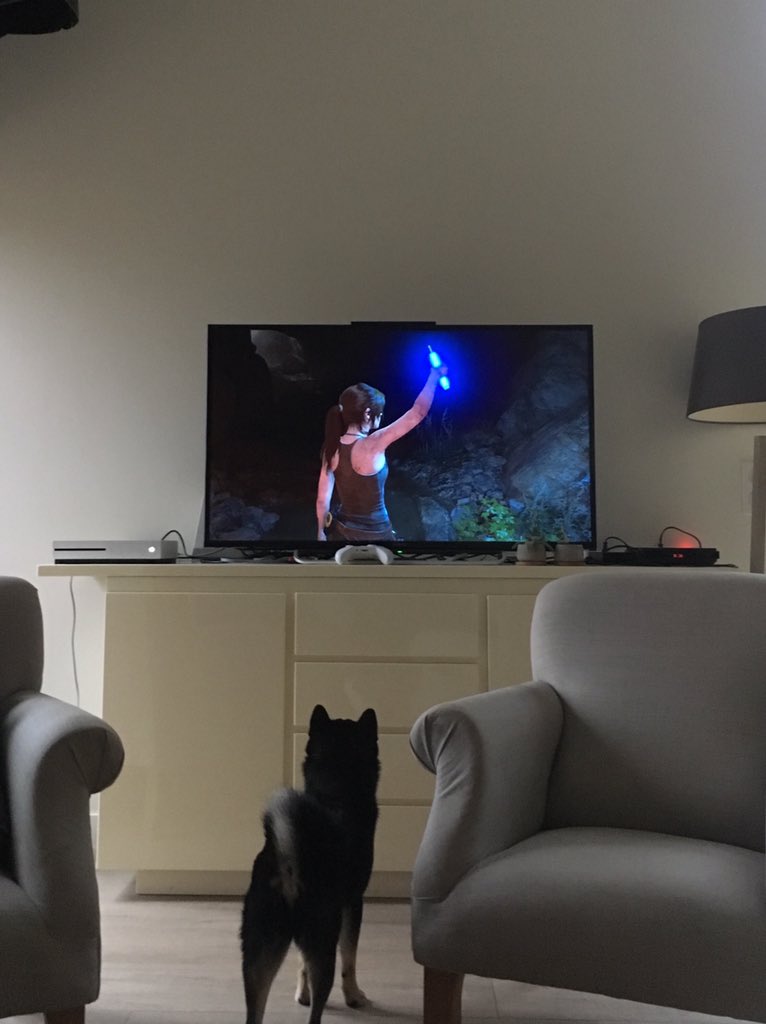 elea_prz's tweet photo. When in doubt, always have your dog as player 2 🐕 #Xbox #TombRaider https://t.co/hlw77Tz5xr