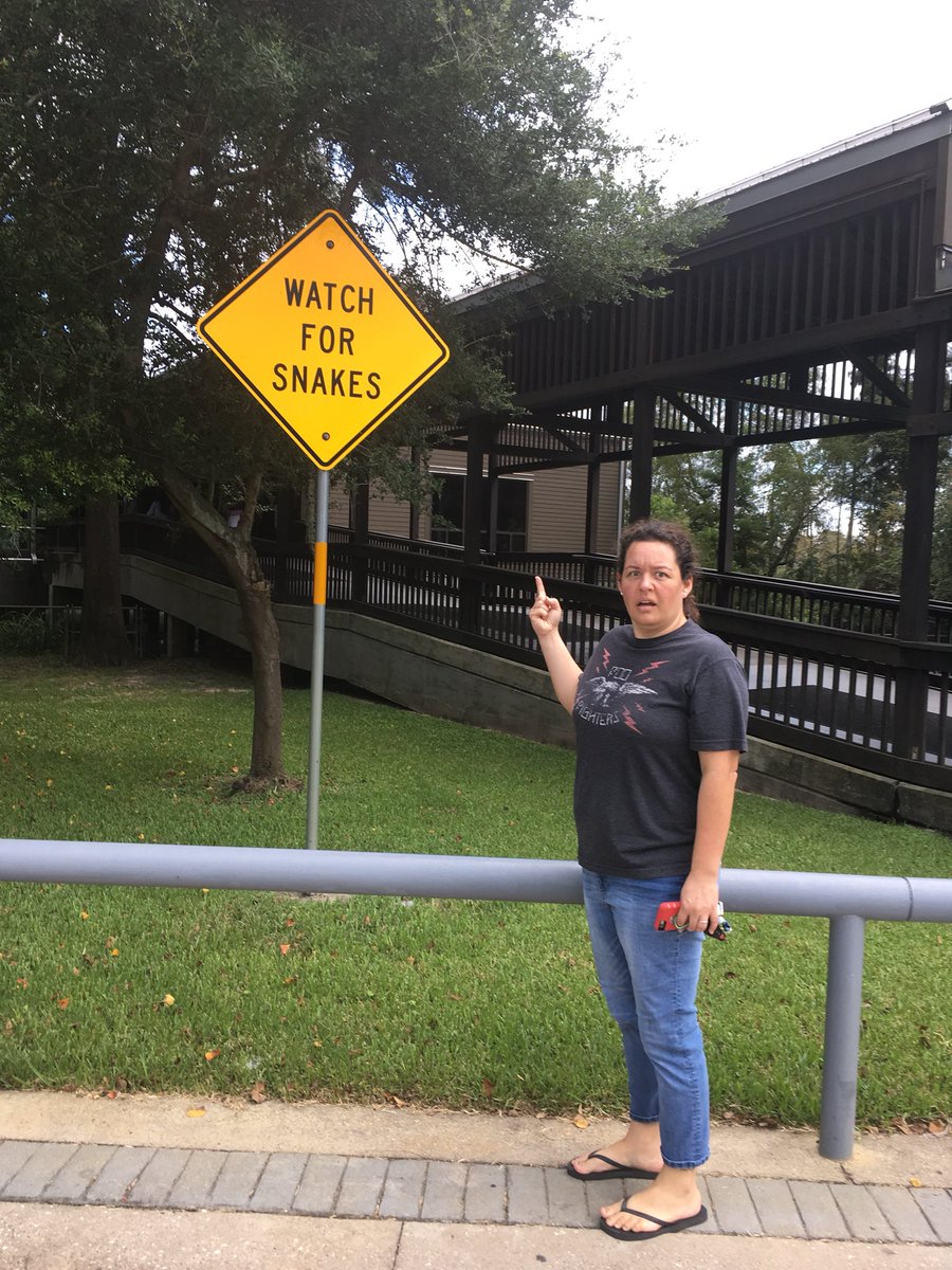 MamaMawyer's tweet photo. Stopped at the #TexasWelcomeCenter this morning. Man, there are snakes everywhere! https://t.co/GuK3DhJK9R
