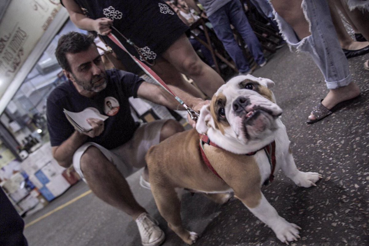 MarceloFreixo's tweet photo. É cãopanha na rua! #Freixo5050 #FreixoFederal #AgoraÉFederal https://t.co/GeNwjTwT2f