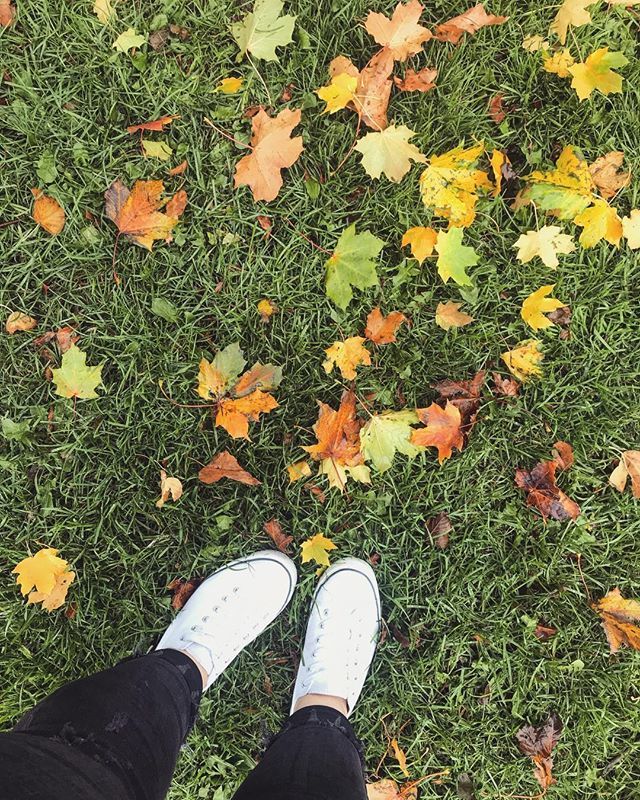 I bloody love autumn, fresh crisp air and long walks 😍🍁❤️
.
.
.
.
#happyselves #changeofseason #autumnleaves #fall #selfcareseptember #radicalselflove #wherewego #wherewewander #wanderfolk #postitfortheaesthetics #pursuepretty #pursuehappy #alifeofin… ift.tt/2ykXLP7