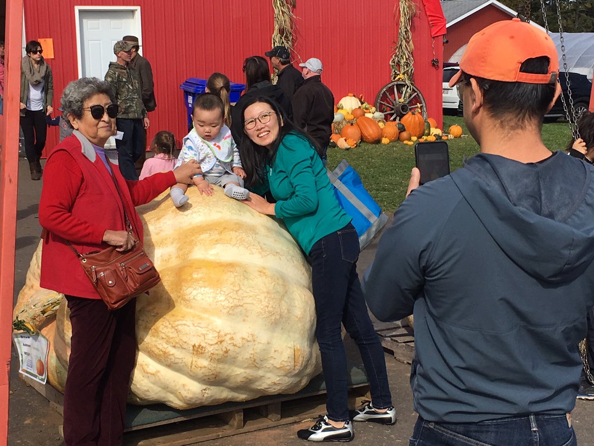 wayneagainpei's tweet photo. Eddie Shaw's monster 1,768-pound pumpkin set a record at 25th annual PEI Great Pumpkin weigh-off today - and was a popular photo-op https://t.co/KWxhpiFyfa