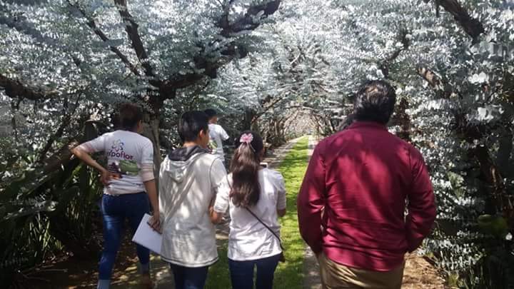 ExpoFlorVG's tweet photo. Hoy realizamos un recorrido con compradores al Rancho San Agustín, especializado en follajes y ave de paraíso. https://t.co/dqipICPzXz