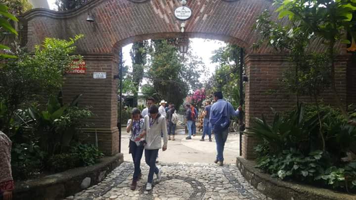 ExpoFlorVG's tweet photo. Hoy realizamos un recorrido con compradores al Rancho San Agustín, especializado en follajes y ave de paraíso. https://t.co/dqipICPzXz