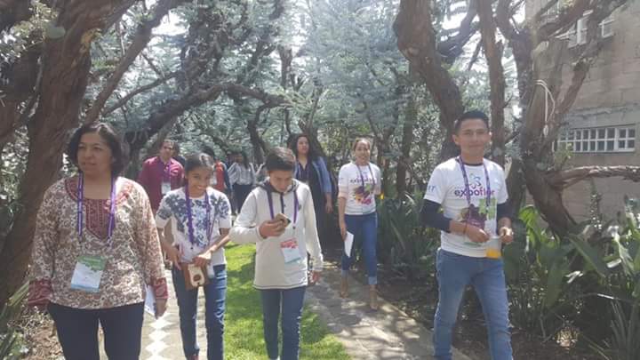 ExpoFlorVG's tweet photo. Hoy realizamos un recorrido con compradores al Rancho San Agustín, especializado en follajes y ave de paraíso. https://t.co/dqipICPzXz