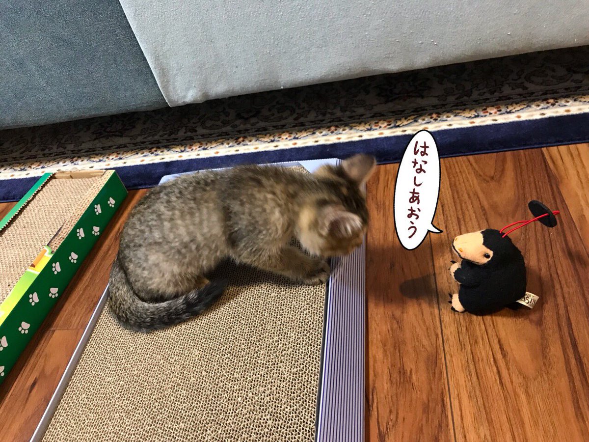 TKMX69's tweet photo. やってみたかったやつ。 #ウワーッ https://t.co/IolBPGjNIG