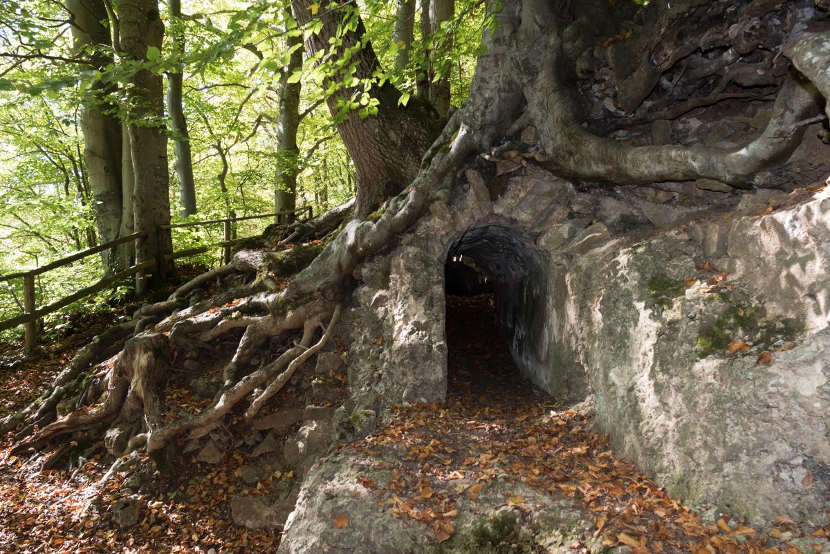 GlatzerElke's tweet photo. #JedeWocheEinFoto KW 40/18
Dies ist nicht die Wohnung der Wurzelkinder!
Archäologen wollen immer EINER SACHE AUF DEN GRUND GEHEN
und haben herausgefunden, dass wir vor einem Abschnitt der römischen Wasserleitung stehen, die von Nettersheim nach Köln führt. #Urft #Eifel https://t.co/4wZA5fuPZR