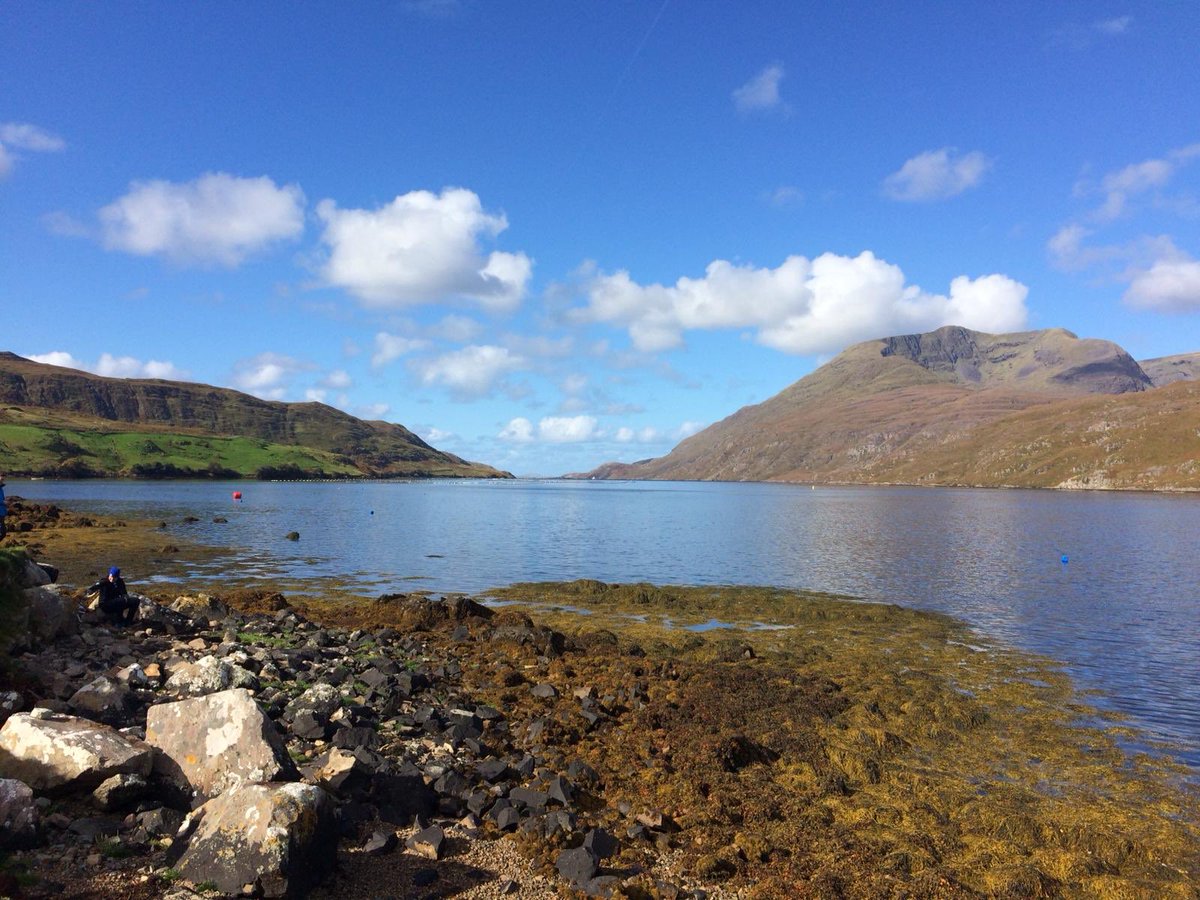 What a day today - completed killary fjord swim @Gaelforceevents great scenery, great company, great achievement #fjordswim #gaelforce #galway