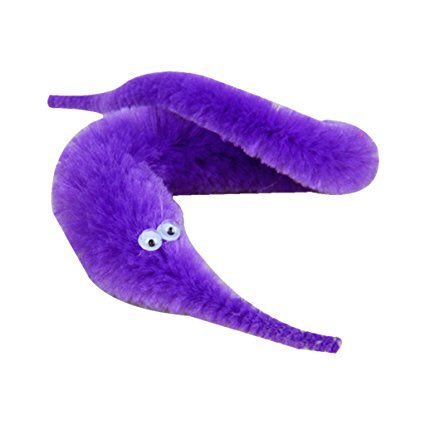 pIutotic's tweet photo. rt for worm on a string
like for trump https://t.co/pgStcTu3eP