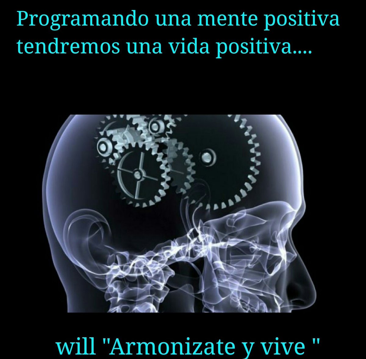 nesvia's tweet photo. https://t.co/3eKBS3hVDh