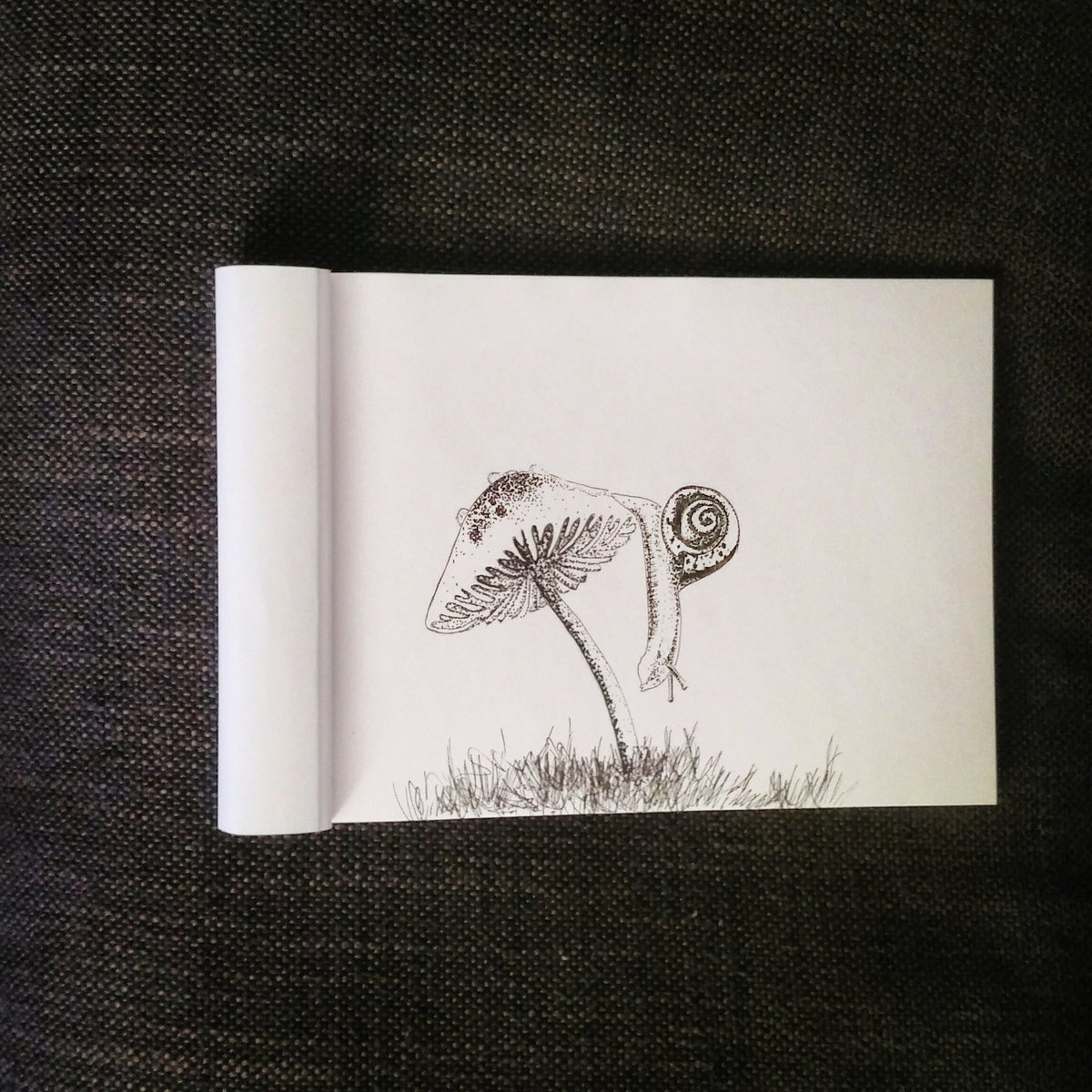 _Rosae_'s tweet photo. #inktober #Inktober2018 #inktoberday6 #day6 #drooling #baver #saliver -> escargot , snail https://t.co/jkGK3epg7L