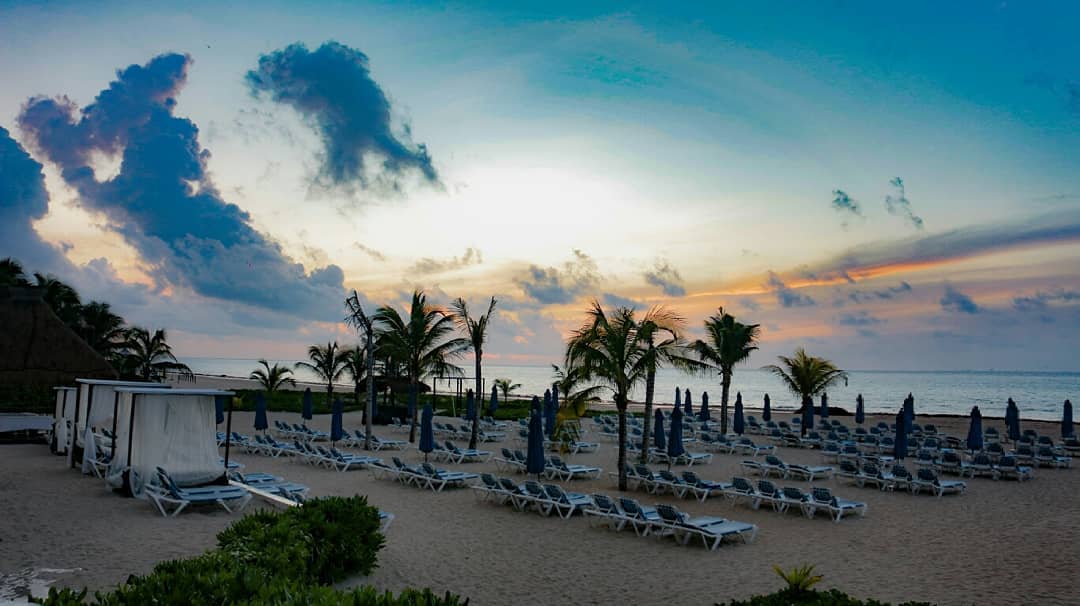 The Reef Playacar tweet media