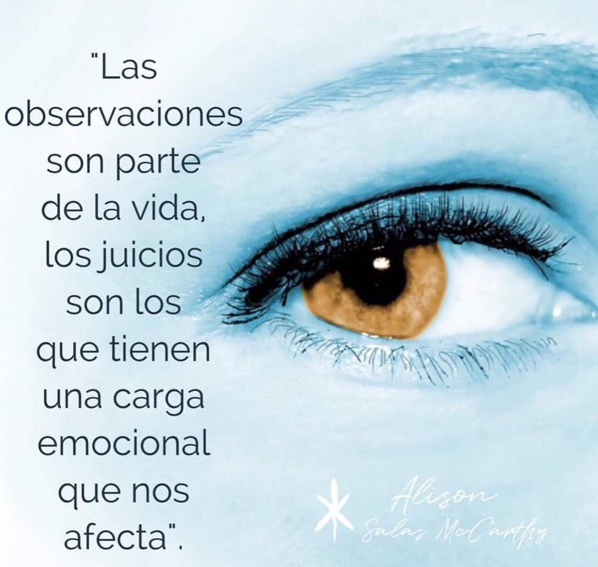 nesvia's tweet photo. https://t.co/77t8AzWlob