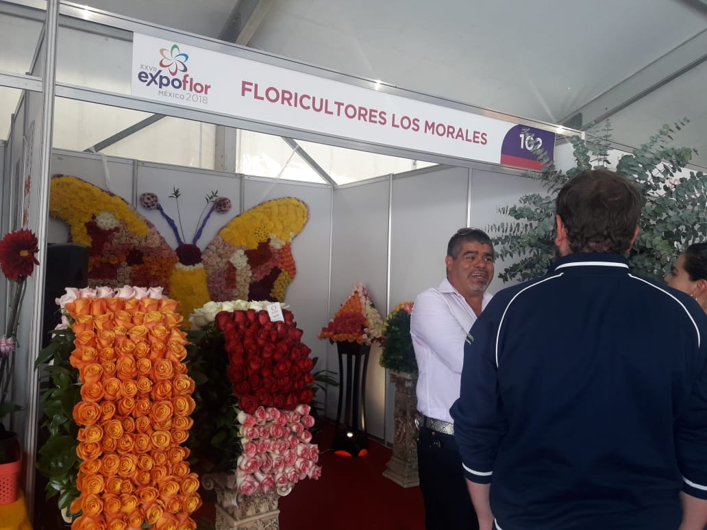 ExpoFlorVG's tweet photo. La Unión de Floricultores los Morales se encuentra presente en Expo Flor México 2018. ¡Visita su stand! Te esperamos hoy hasta las 6 de la tarde. https://t.co/dw84QCYDbc