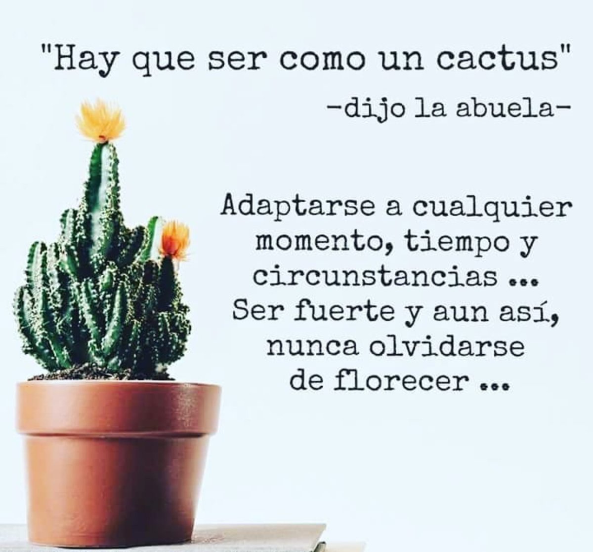 nesvia's tweet photo. https://t.co/tY5xFeghV4