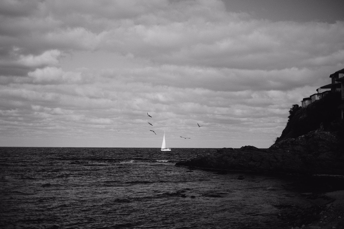 ralchev's tweet image. 