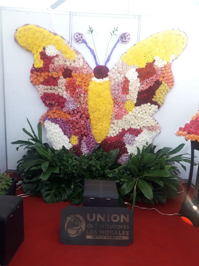 ExpoFlorVG's tweet photo. La Unión de Floricultores los Morales se encuentra presente en Expo Flor México 2018. ¡Visita su stand! Te esperamos hoy hasta las 6 de la tarde. https://t.co/dw84QCYDbc