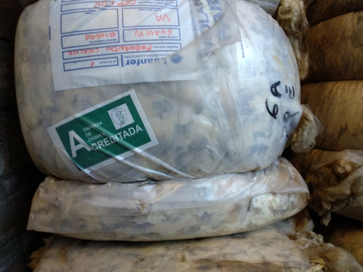 CDU_uruguay's tweet photo. Nos acercamos un poco más a la cadena de producción de la lana en Engraw S.A, una de las cuatro industrias topistas del país.
La visita formó parte de la #wooltour en el marco de las rondas de negocios de #diseño @UruguayXXI @CDU_uruguay @mercados_SUL @MarcaUruguay https://t.co/Fxyyk7HD44
