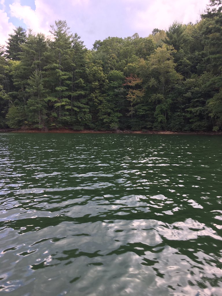 misskatiemara's tweet photo. First full day of #fallbreak spent at #lakesanteetlah in NC where it's still warm enough for swimming. #endlesssummer2018 https://t.co/AdtSPxDJ4f