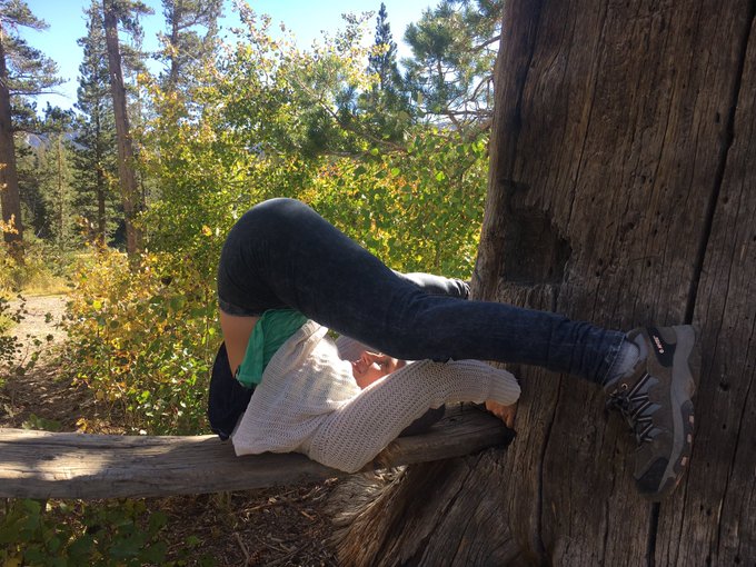 I love the mother...earth that is. #treehugging #yogagirl #naturelovers https://t.co/r7IteMJaNy<a href="/tag/treehugging"class="tags">#treehugging</a><a href="/tag/yogagirl"class="tags"><span>#yogagirl</span></a><a href="/tag/naturelovers"class="tags"><span>#naturelovers</span></a>