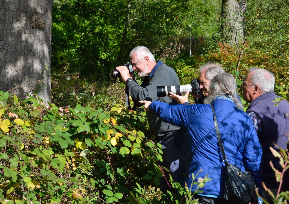 JimAsherBC's tweet photo. Scottish Members' Day @savebutterflies @BC_Scotland brought out Commas in the sun, a Merveille du Jour from the night before and lots of keen admirers. Ideal weather for the occasion! https://t.co/c3e9UYn9sC
