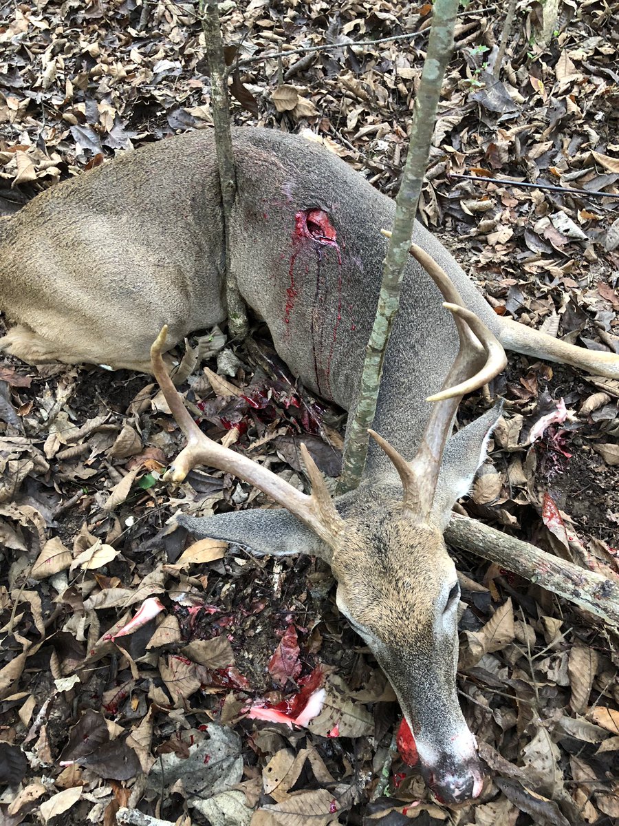 Good times in Tennessee this morning.