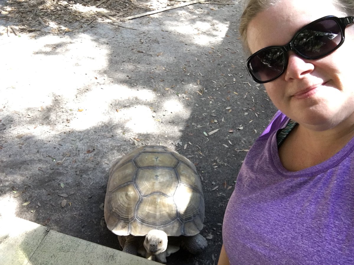 PiersonVPK's tweet photo. “Fun, smiles, and crocodiles!” Fun morning feeding the tortoises at Smooth Waters Wildlife Park in DeLeon Springs this morning. #smoothwaters #visitlocal https://t.co/9VgnHjrVcB