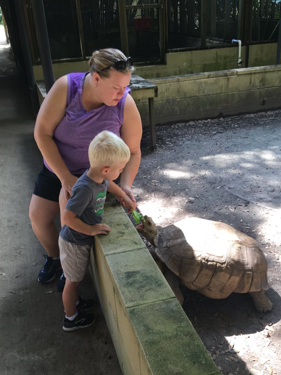 PiersonVPK's tweet photo. “Fun, smiles, and crocodiles!” Fun morning feeding the tortoises at Smooth Waters Wildlife Park in DeLeon Springs this morning. #smoothwaters #visitlocal https://t.co/9VgnHjrVcB