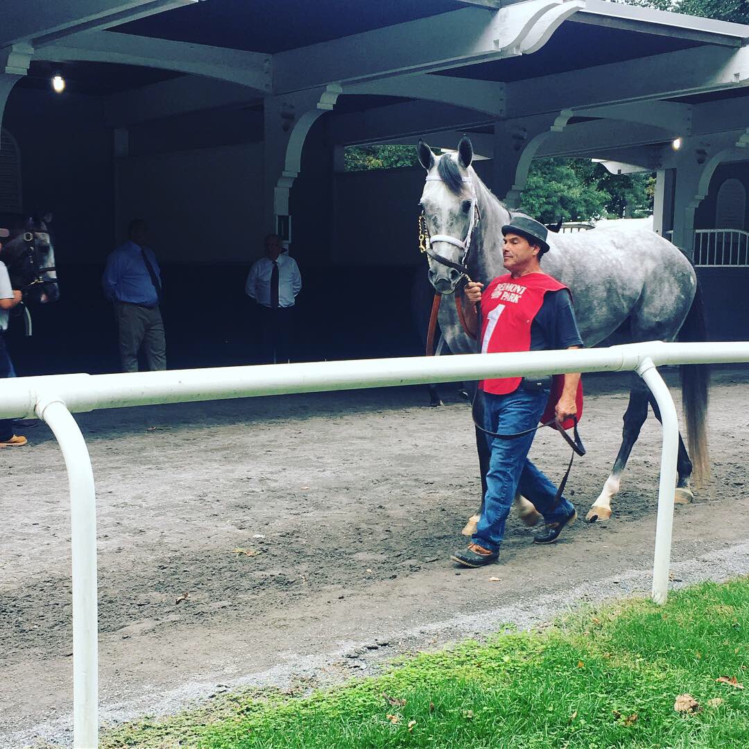 When a horse looks at you like this & they are Grey it’s a mandatory betting situation #OneTime #Wire2Wire #NYRA #BeautifulBelmont