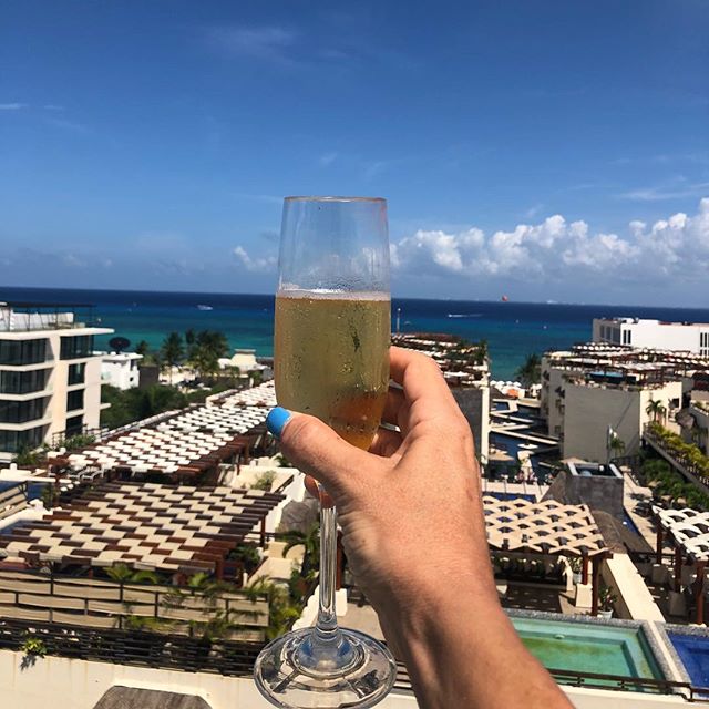 The Reef 28 tweet media