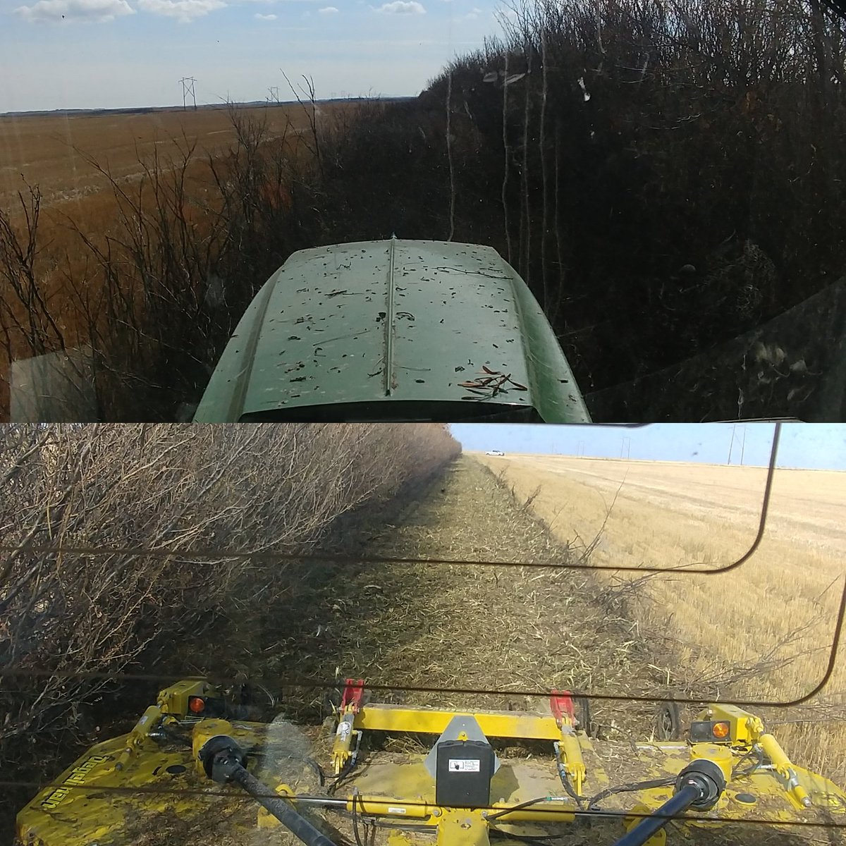 Lucas_Hofer_'s tweet photo. This is what you call a tough machine. No other mowers could touch the trees. The Degelman mower had no problem. #toughmachine #fallcleanup #degelman #trees @Degelman_Can @JackDegelman @DegelmanInd https://t.co/pxk8QQnuSd