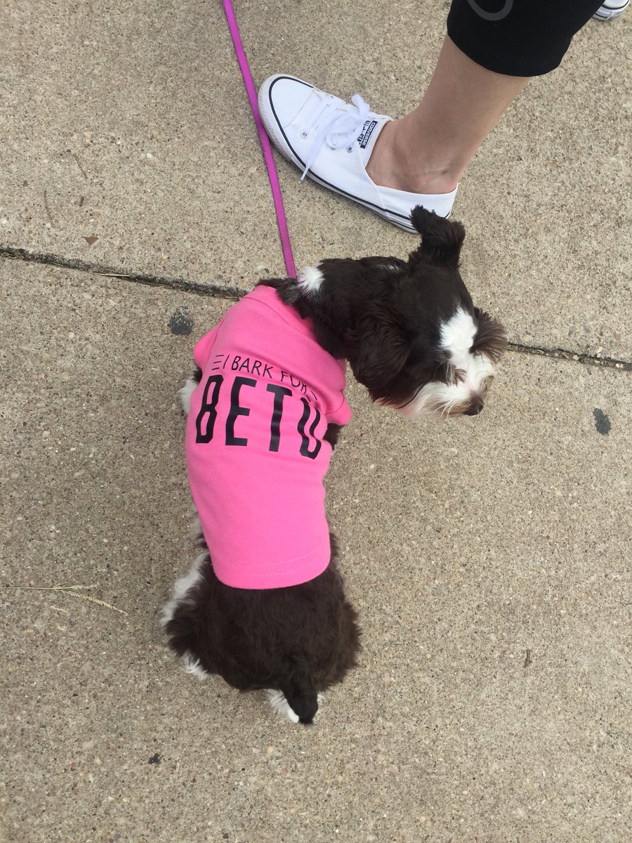 usuallydontcare's tweet photo. I helped register Texans to vote today with this #Beto fan. #ACLAustin. https://t.co/Zsvtv3B48e