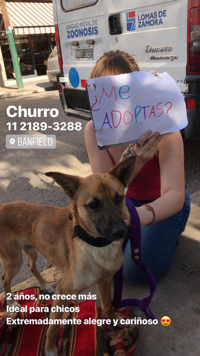 Jazcasaux's tweet photo. Hoy en la jornada de adopción de Zoonosis (Lomas de Zamora) estaban estos perritos en adopción, dejo las fotos con número de contacto! ♥️ https://t.co/2yFLHuNMkM