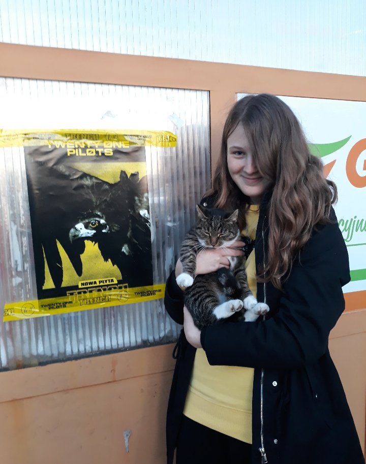 banditossulecin's tweet photo. Joshua Dun Jr.
05.10.18r.
#cliquelovecats #cliquekochakotki
#localbanditos #localbanditossulecin #localbanditossulęcin #sulecin #sulęcin #banditotour #clique #trench #tøp #twentyonepilots
@TOP_Poland @joshuadun @twentyonepilots @tylerrjoseph https://t.co/o6CaMqvuvH