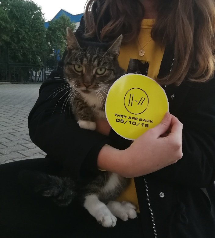 banditossulecin's tweet photo. Joshua Dun Jr.
05.10.18r.
#cliquelovecats #cliquekochakotki
#localbanditos #localbanditossulecin #localbanditossulęcin #sulecin #sulęcin #banditotour #clique #trench #tøp #twentyonepilots
@TOP_Poland @joshuadun @twentyonepilots @tylerrjoseph https://t.co/o6CaMqvuvH